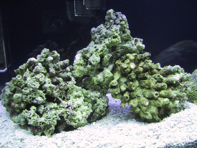 124-2499_img.jpg
