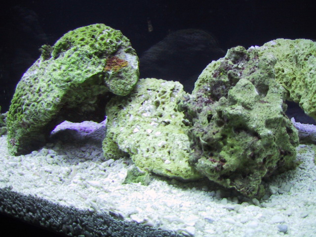 125-2501_img.jpg